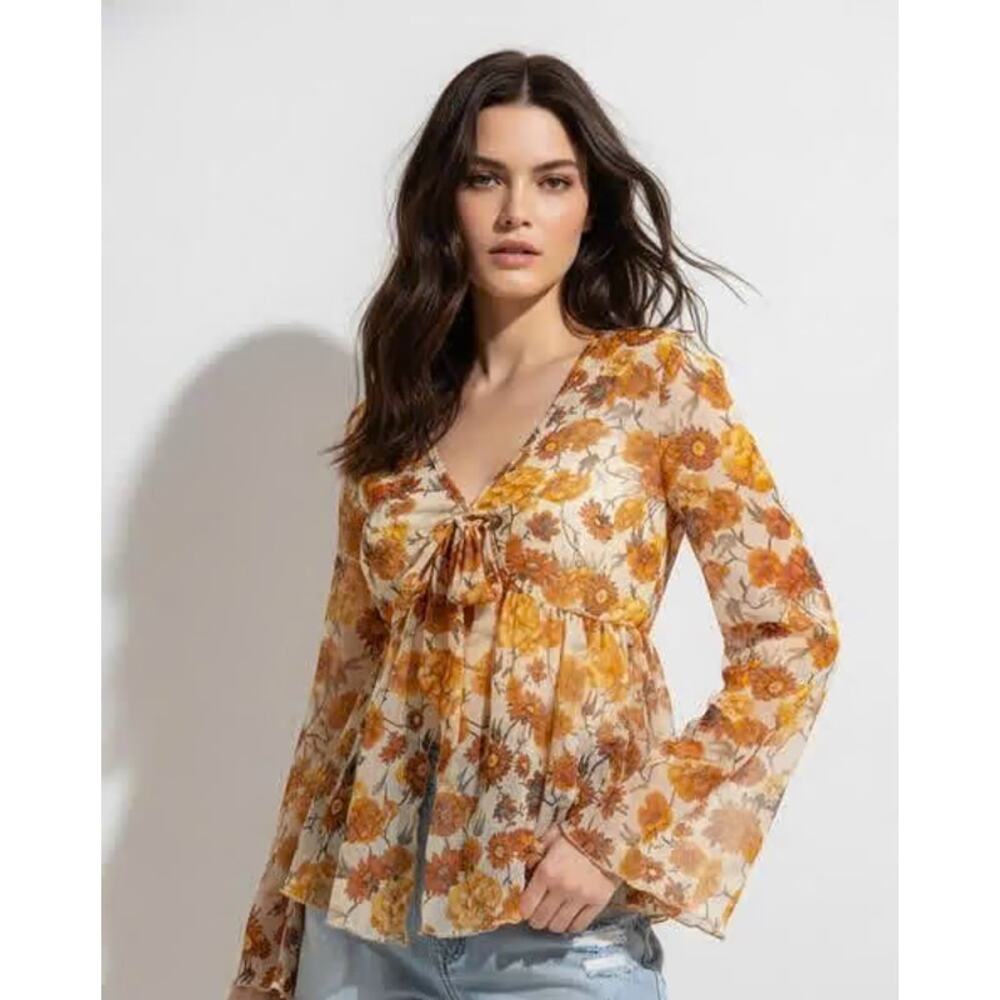 Floral Print V Neck Long Sleeve Bow Tie Front Sheer Blouse Top